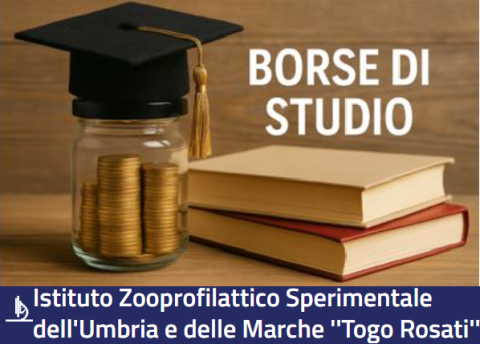 borse di studio