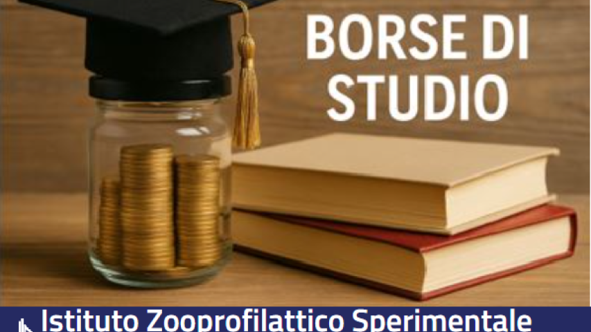 borse di studio